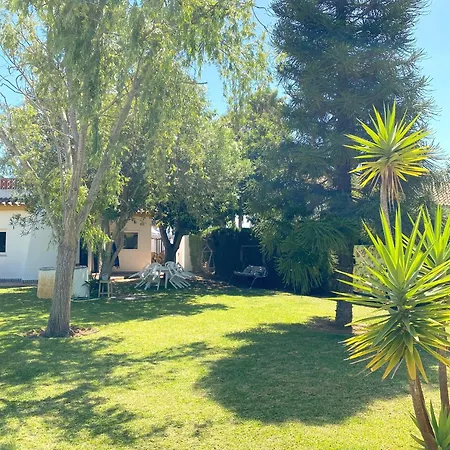 Tierra Del Sur * Conil De La Frontera